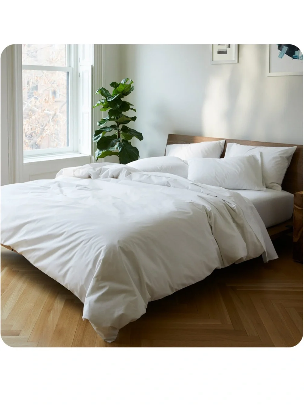 BROOKLINEN Luxe 480-Thread Count 100% Cotton Flat Sheets